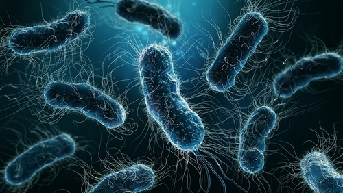 Close-up of bacteria with flagella in bluish hue.