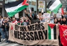 Pro-Palestine protest with banners and flags in city street.