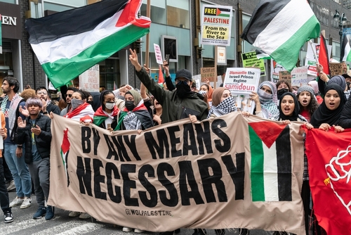 Pro-Palestine protest with banners and flags in city street.