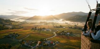 Aerial view of a vineyard landscape at sunrise from a hot air balloon