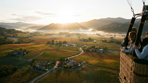 shutterstock_2768080559.jpg Aerial view of a vineyard landscape at sunrise from a hot air balloon