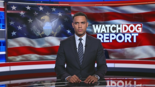 News anchor presenting a report in front of an American flag backdrop